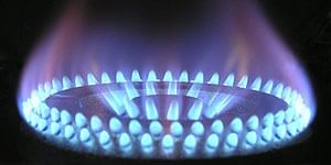 Coal & Petroleum Summary Class 8 NCERT Summary