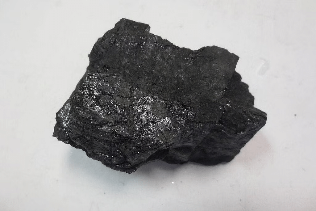 Coal & Petroleum Summary Class 8 NCERT Summary