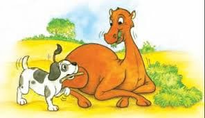 How the Camel Got His Hump Summary Class 8 English It So Happened Chapter 1