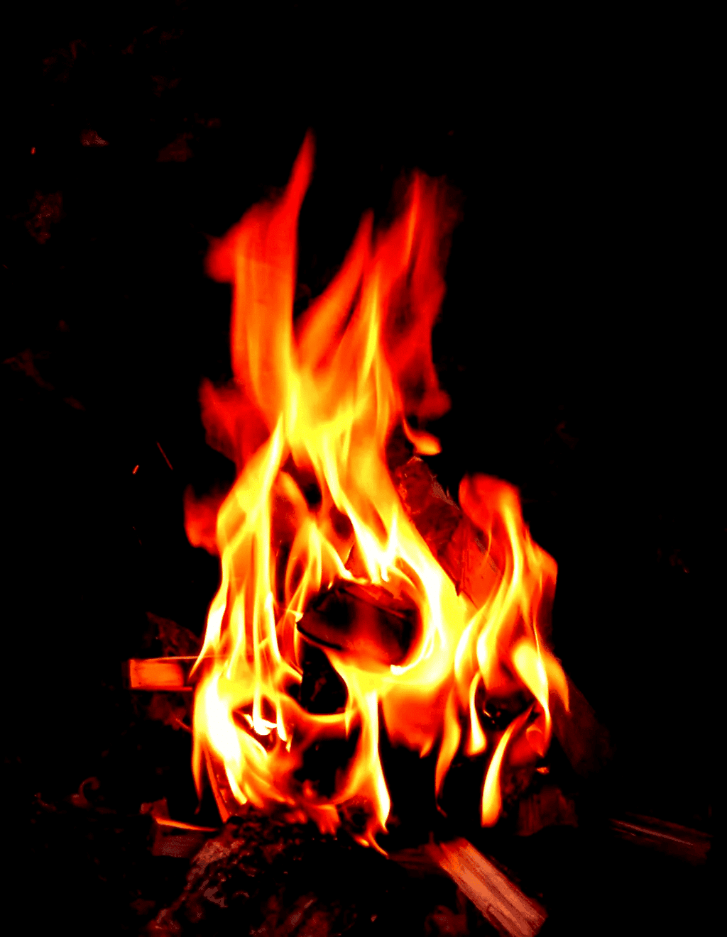 Class 8 Science Chapter 4 Practice Question Answers - Combustion and Flame