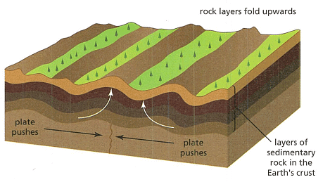 Cross-Section of fold mountains forming 