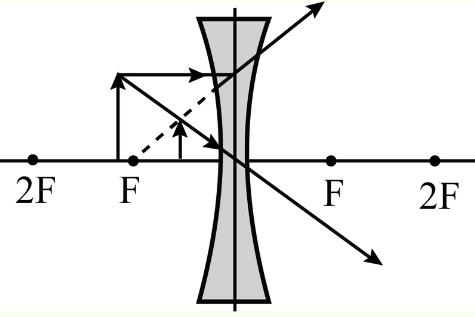 NCERT Exemplar: Light - Reflection & Refraction | Science Class 10
