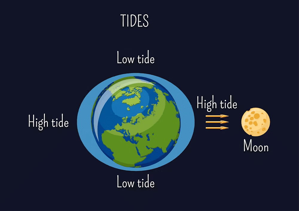 The Earth in Space Chapter Notes | Preparation for EmSAT Grade 6