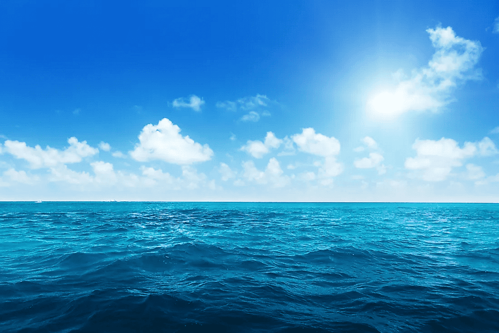 The Earth in Space Chapter Notes | Preparation for EmSAT Grade 6