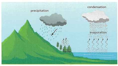 The Earth and its atmosphere Chapter Notes | Year 7 Physics (Cambridge) - Class 7