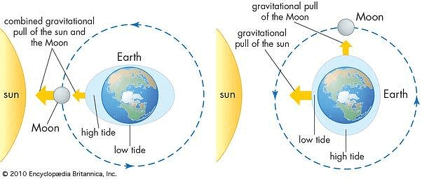 The Earth in Space Chapter Notes | Preparation for EmSAT Grade 6
