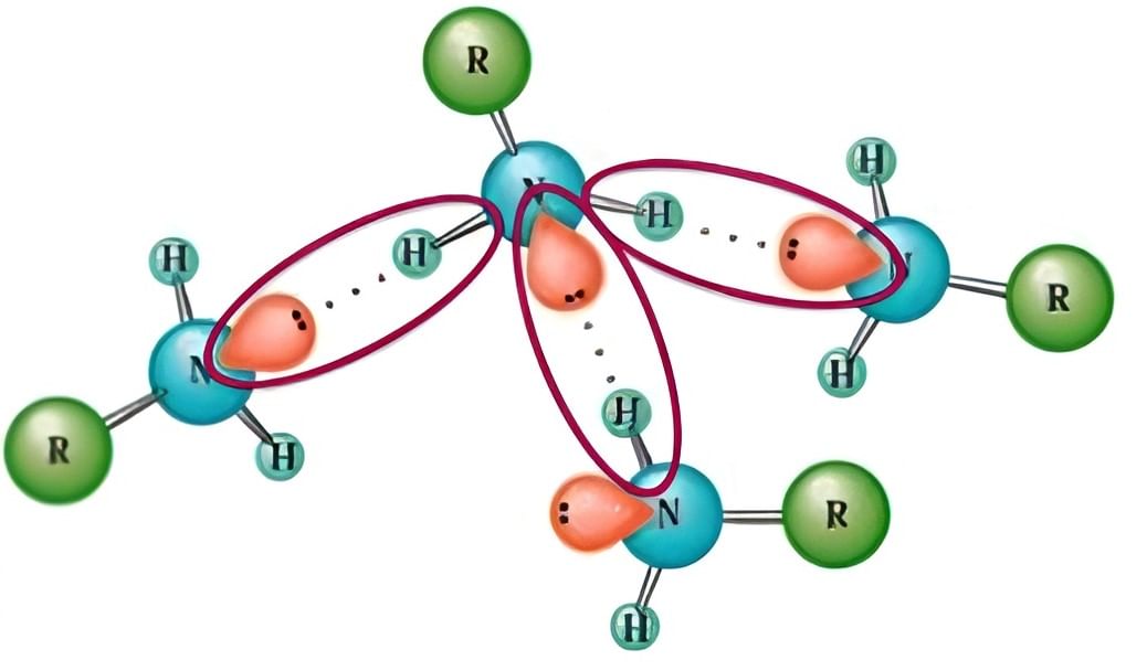 Hydrogen Bonding between Primary Amine Molecules