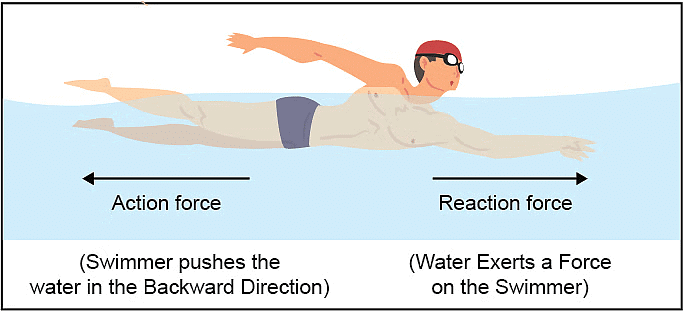 Newton`s Laws of Motion | Physics Class 11 - NEET
