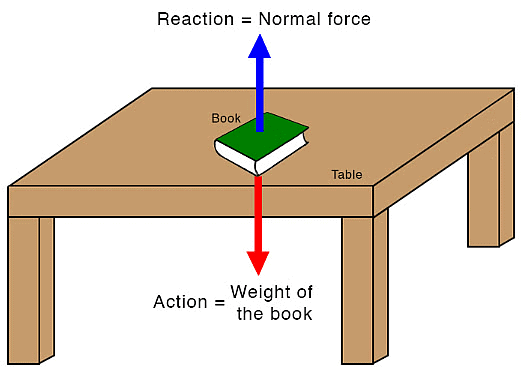 Newton`s Laws of Motion | Physics Class 11 - NEET
