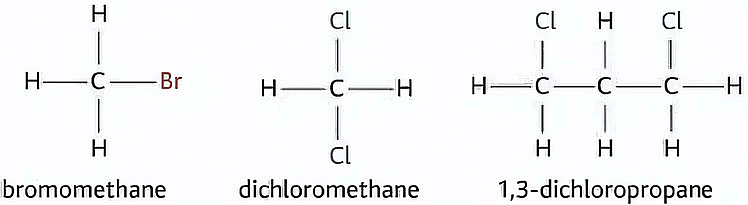Examples of Haloalkanes