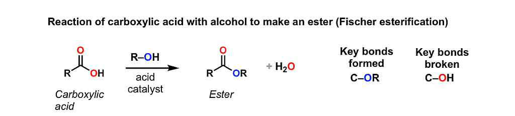 Alcohols and Phenols: Properties | Chemistry Class 12 - NEET
