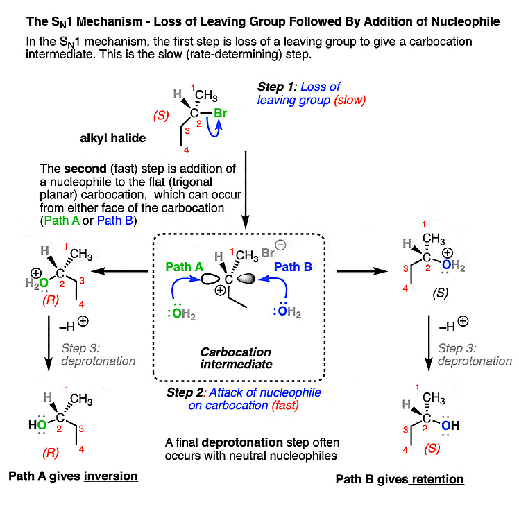 Alcohols and Phenols: Preparation and Synthesis | Chemistry Class 12 - NEET
