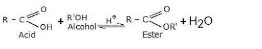 Alcohols and Phenols: Chemical Reactions | Chemistry Class 12 - NEET
