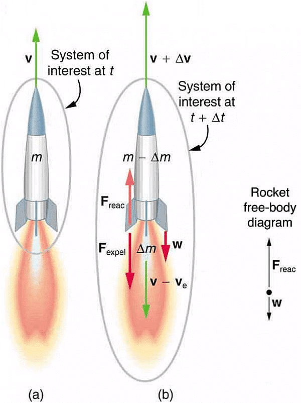 Newton`s Laws of Motion | Physics Class 11 - NEET