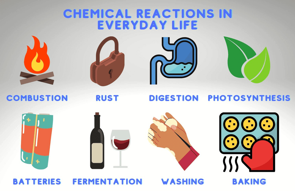 Some Chemical Reactions in Daily Life