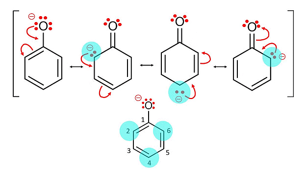 Phenol more Acidic due to Resonance