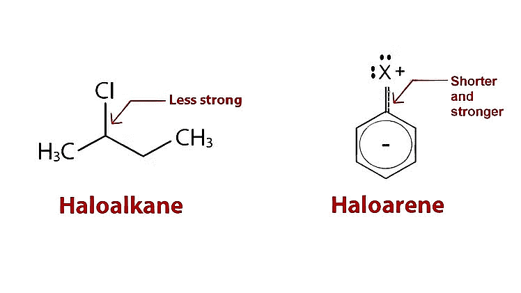 Haloalkanes and Haloarenes