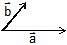 Vectors and their Addition & Subtraction | Physics Class 11 - NEET