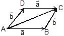 Vectors and their Addition & Subtraction | Physics Class 11 - NEET