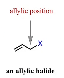 Classification & Nomenclature of Haloalkanes & Haloarenes | Chemistry Class 12 - NEET