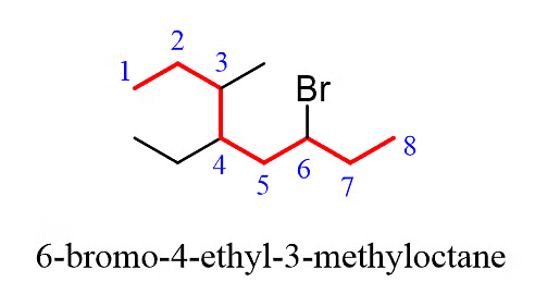 Classification & Nomenclature of Haloalkanes & Haloarenes | Chemistry Class 12 - NEET