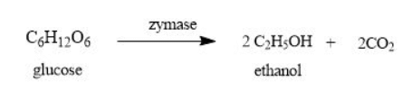 Fermentation of Glucose