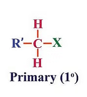 Classification & Nomenclature of Haloalkanes & Haloarenes | Chemistry Class 12 - NEET