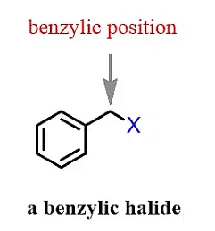 Classification & Nomenclature of Haloalkanes & Haloarenes | Chemistry Class 12 - NEET
