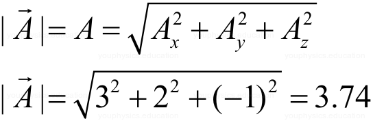 Vectors: Definition, Types & Unit Vectors | Physics for JEE Main & Advanced
