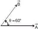 Vectors and their Addition & Subtraction | Physics Class 11 - NEET
