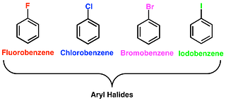 Classification & Nomenclature of Haloalkanes & Haloarenes | Chemistry Class 12 - NEET