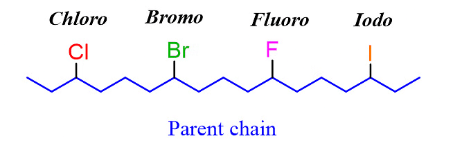 Classification & Nomenclature of Haloalkanes & Haloarenes | Chemistry Class 12 - NEET