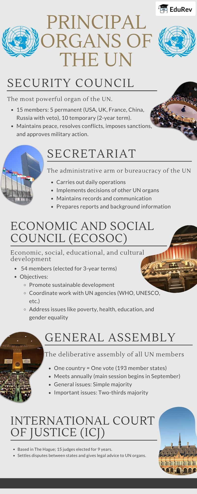 Infographic: International Organisations | Political Science Class 12 - Humanities/Arts