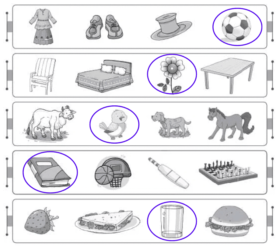 Worksheet 3 - Vocabulary | Worksheets with solutions for Class 3
