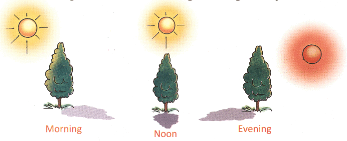 Light, Sound and Force Class 3 Notes Science