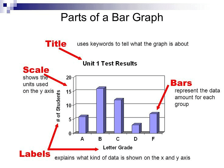 Bar Graph Chapter Notes | Mental Maths - Class 1