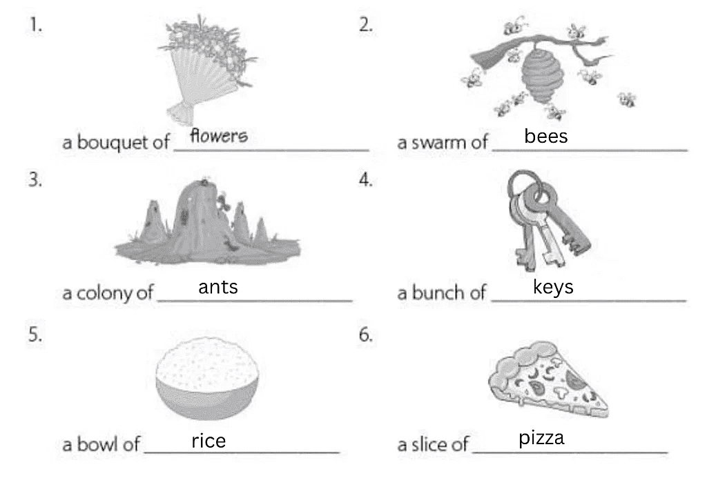 Worksheet 4 - Vocabulary | Worksheets with solutions for Class 3