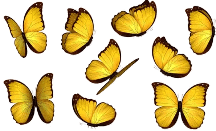 The Yellow Butterfly - 2 Class 3 Worksheet English Unit 5