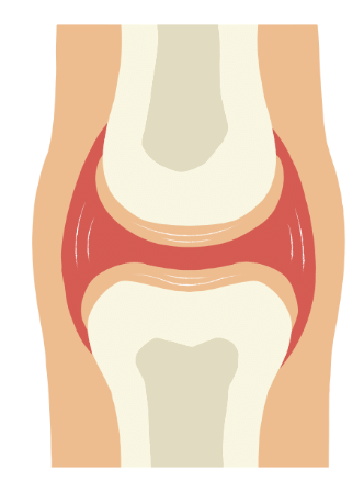 Bones, Muscles and Postures - 1 Class 2 Worksheet Science