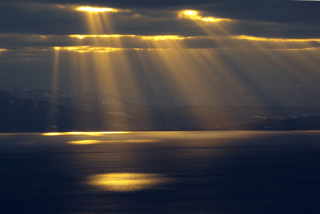 Light travels in straight lines