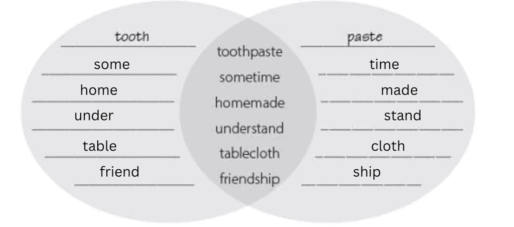 Worksheet 5 - Vocabulary | Worksheets with solutions for Class 3