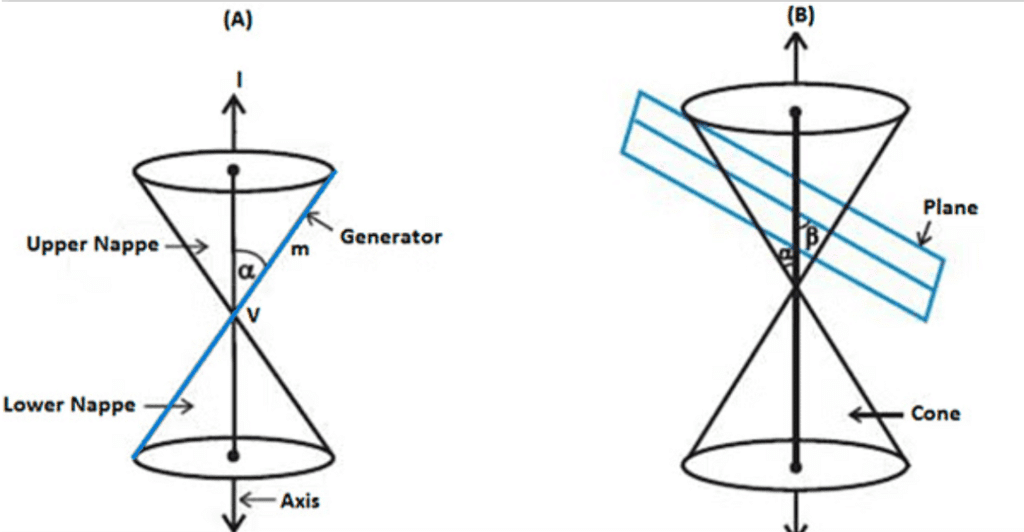 Overview: Conic Sections | Applied Mathematics for Class 11 - Commerce