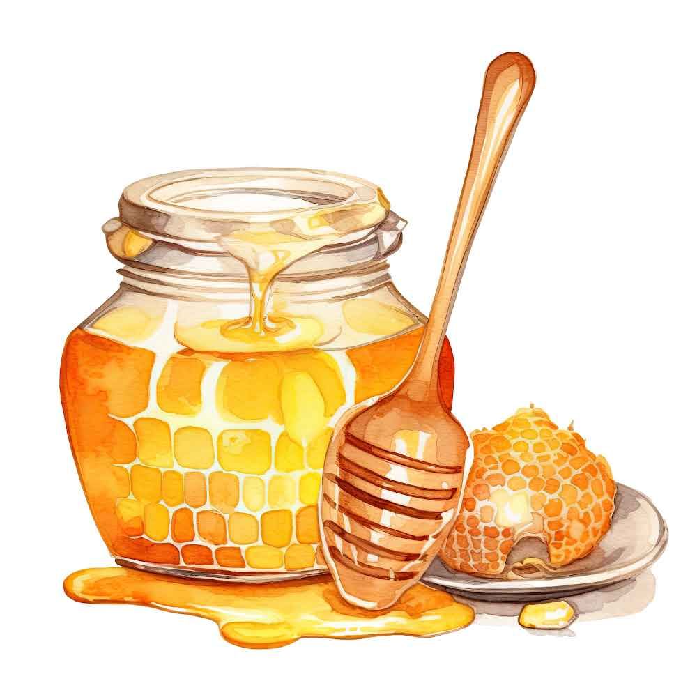 Worksheet: Foods We Eat - 2 | EVS for Class 3