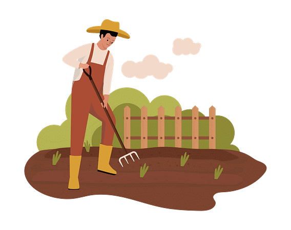 Class 8 Science - Crop Production and Management CBSE Worksheets