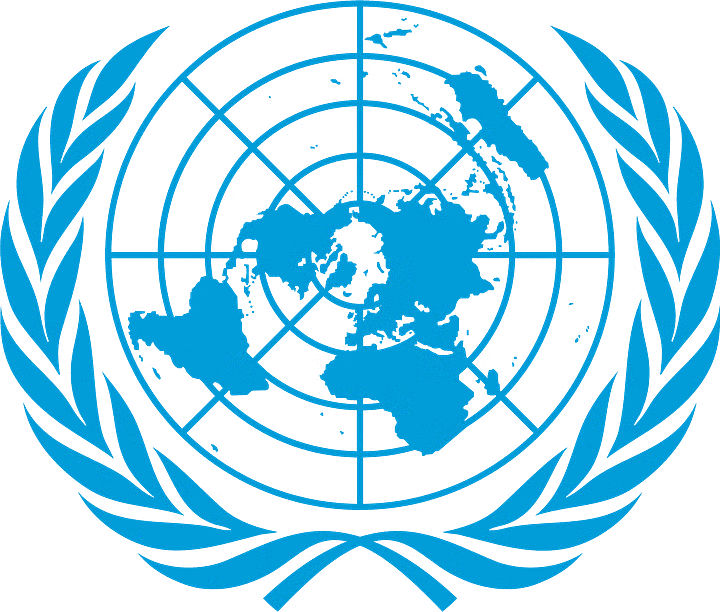International Organisations Class 12 Political Science