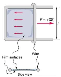 Cohesion and Adhesion in Liquids: Surface Tension and Capillary Action | Basic Physics for IIT JAM