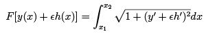 Variational Principle : Euler-Lagrange Equation and its Applications - 1 | Physics for IIT JAM, UGC - NET, CSIR NET