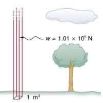 Variation of Pressure with Depth in a Fluid | Basic Physics for IIT JAM