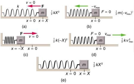 Damped Harmonic Motion | Basic Physics for IIT JAM