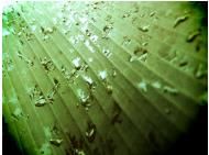 Humidity, Evaporation, and Boiling | Basic Physics for IIT JAM
